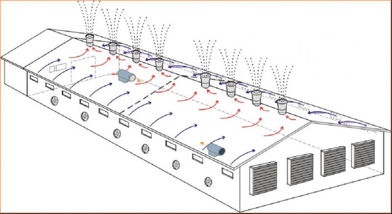 換氣降溫解決方案河源畜牧養(yǎng)殖豬場