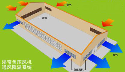 通風散熱解決方案河源畜牧養(yǎng)殖豬場